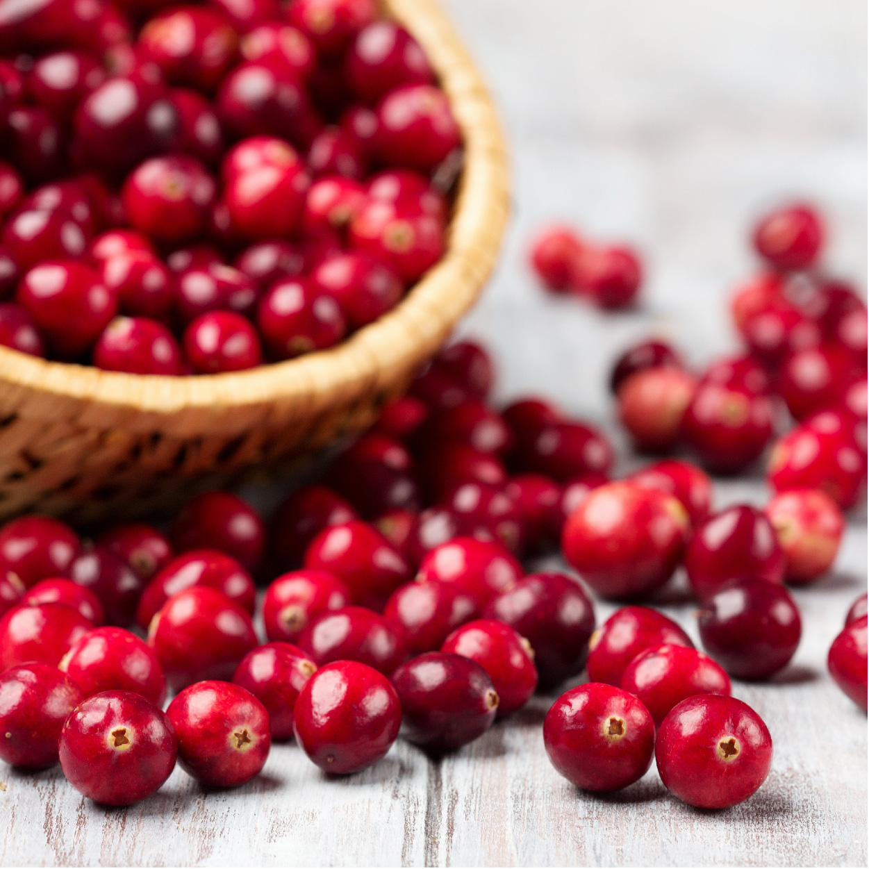 Horbäach Cranberry Concentrate Extract Pills + Vitamin C | 120 Capsules