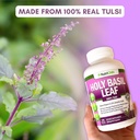 holy-basil-leaf-capsules---500mg---25-ur-3.jpg