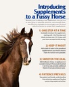 organic-essential-mag-magnesium-for-hors-6.jpg