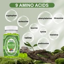 well-whole-bcaa-gummies-9-in-1-eaa-gummi-2.jpg
