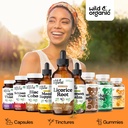 wild-organic-licorice-root-tincture-dige-5.jpg