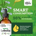wild-organic-lobelia-tincture---lung-det-4.jpg