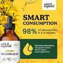 wild-organic-mullein-drops-4-oz-chloroph-4.jpg