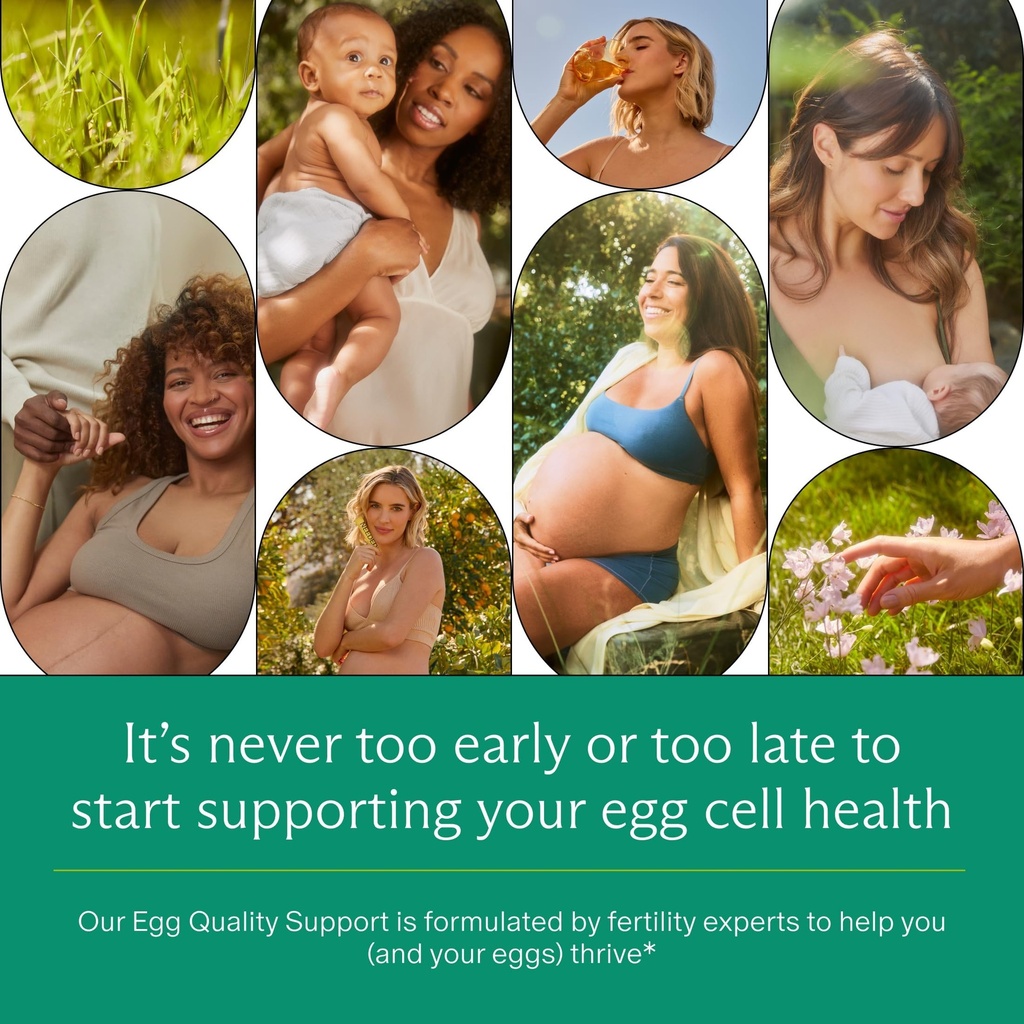 needed-egg-quality-support-optimally-for-4.jpg
