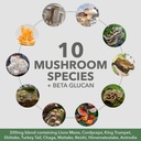 plantfusion-mushroom-protein-powder-3-in-6.jpg