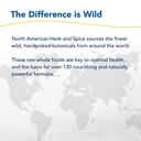 north-american-herb-spice-turmeric-power-6.jpg