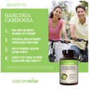 naturewise-1-green-tea-extract-1000-mg-v-6.jpg