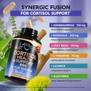 cortisol-supplement-for-women-holy-basil-5.jpg