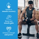 creatine-monohydrate-powder-5000mg-suppo-3.jpg