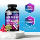 berberine-hcl-blend-1200mg-per-serving-h-6.jpg