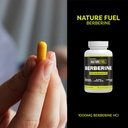 healthy-delights-nature-fuel-berberine-c-3.jpg