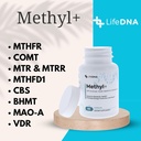 methyl-methylfolate---methylated-folate--4.jpg