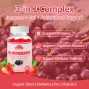 elderberry-immune-gummies-daily-immune-s-4.jpg
