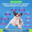 200-pcs-probiotics-for-dogs-dog-probioti-3.jpg