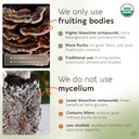 longevity-botanicals-organic-turkey-tail-3.jpg