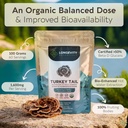 longevity-botanicals-organic-turkey-tail-4.jpg