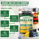 simhould-2-pack-sugar-free-3000mg-mullei-3.jpg