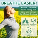 60-count-mullein-gummies-for-lung-2000mg-6.jpg