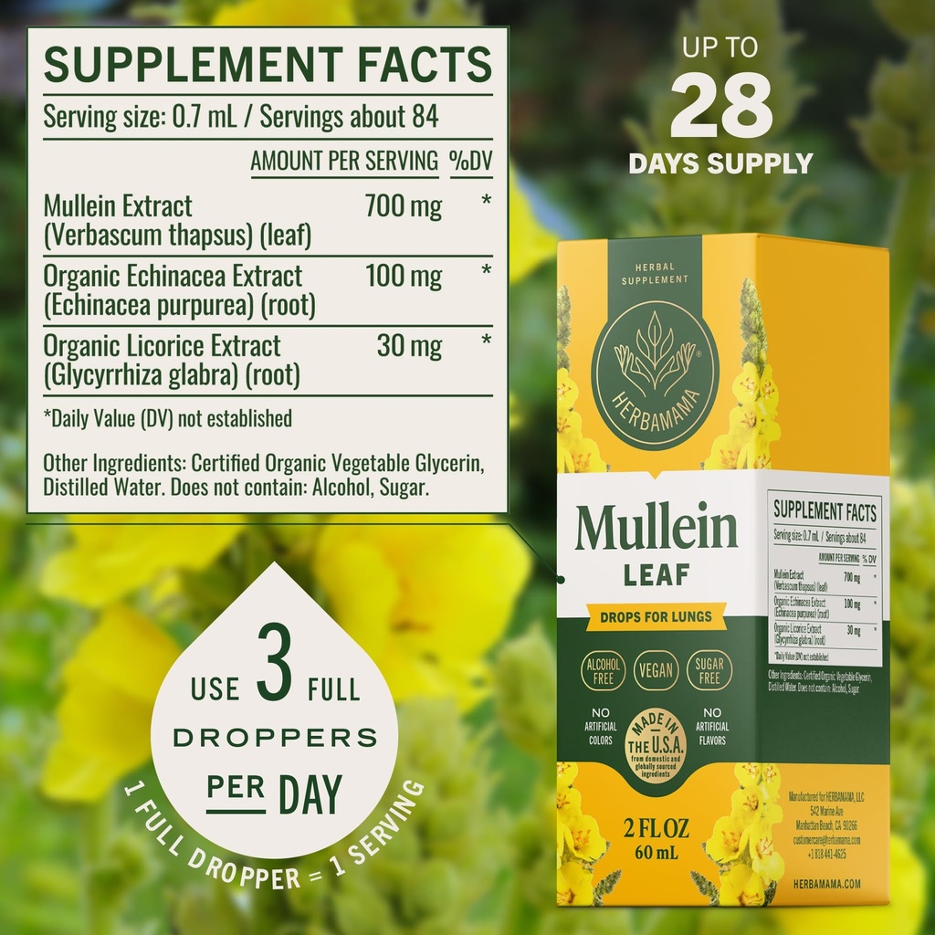 herbamama-mullein-drops-for-lungs-vegan--3.jpg