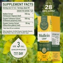 herbamama-mullein-drops-for-lungs-vegan--3.jpg
