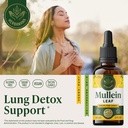 herbamama-mullein-drops-for-lungs-vegan--2.jpg