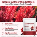 xaarty-3pack-premium-astaxanthin-12mg-na-6.jpg