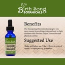 energizing-chlorophyll-tincture-super-co-5.jpg