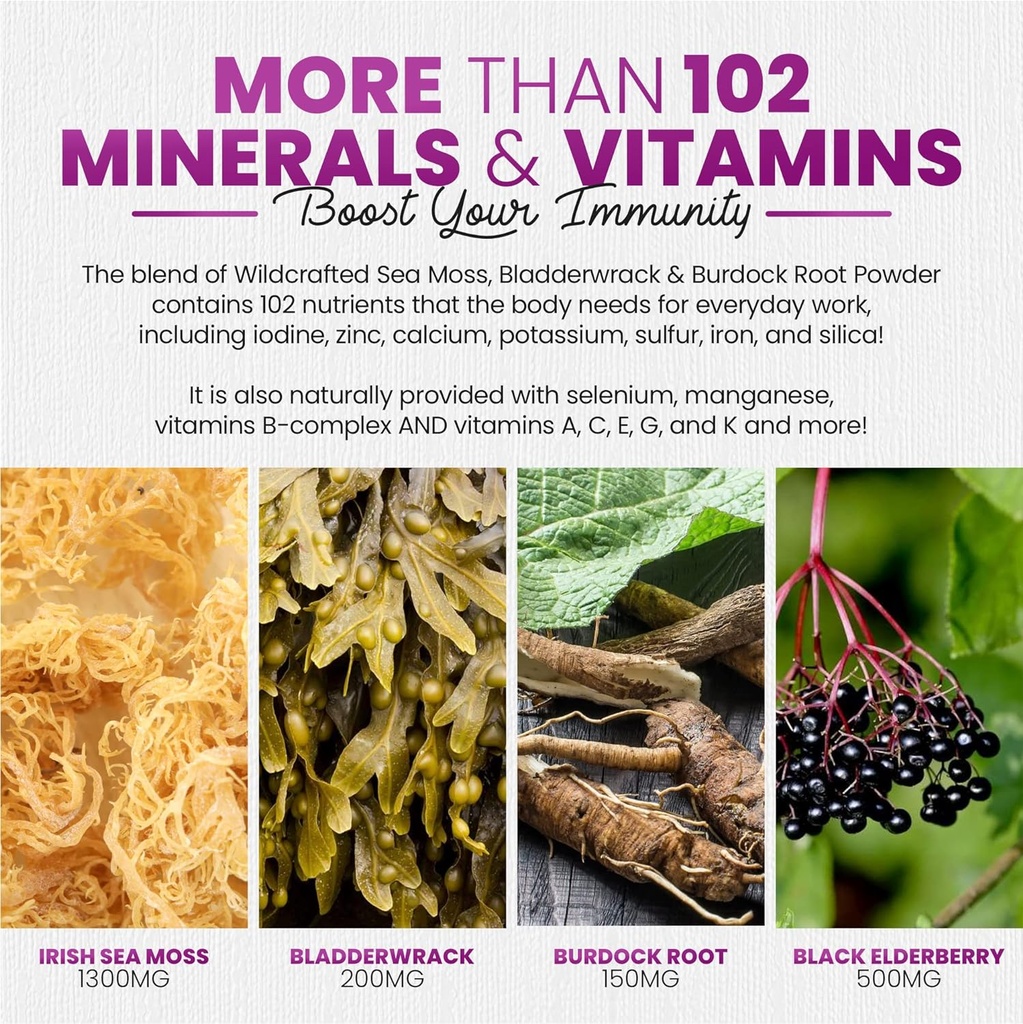 irish-sea-moss-gummies-with-elderberry-b-5.jpg