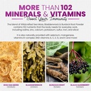 irish-sea-moss-gummies-with-elderberry-b-5.jpg