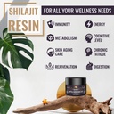 600mg-shilajit-pure-himalayan-organic-sh-3.jpg