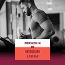 pure-forskolin-extract-indian-coleus-for-5.jpg