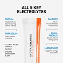 kaged-daily-hydration-stick-packets-vari-2.jpg