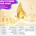 dog-multivitamin-15-in-1-dog-multivitami-6.jpg