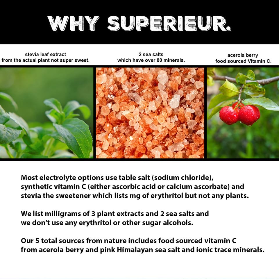 superieur-electrolyte-powder-packets-veg-5.jpg