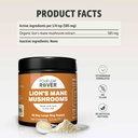 lions-mane-mushrooms-for-dogs---supports-6.jpg
