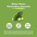 organic-bitter-melon-extract-for-strong--4.jpg
