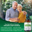 zazzee-cognitive-brain-health-vision-sup-4.jpg