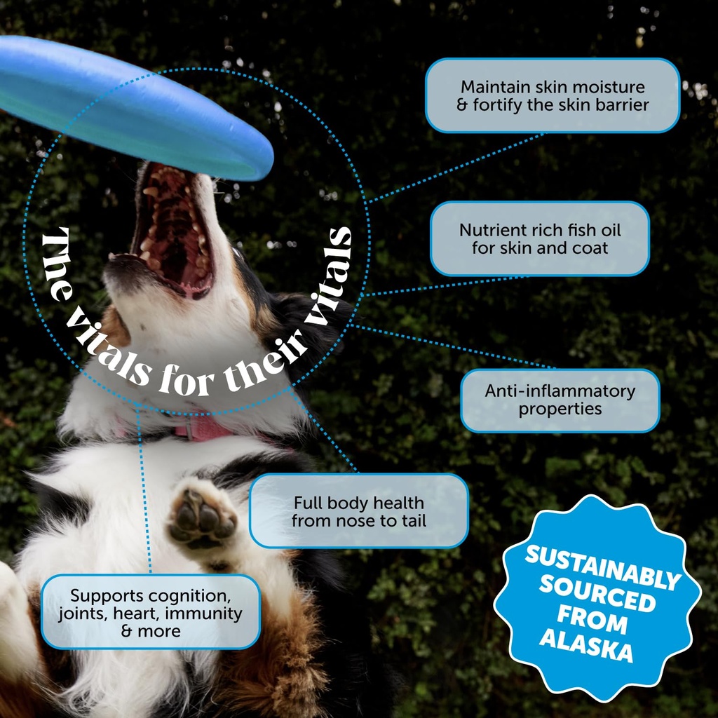 wild-alaskan-salmon-oil-omega-3-fish-oil-2.jpg