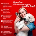 turkey-tail-mushroom-for-dogs-immune-sup-5.jpg