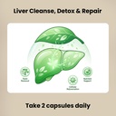liver-protector-liver-support-supplement-2.jpg
