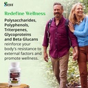 sayan-reishi-mushroom-extract-90-capsule-6.jpg