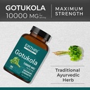 100-organic-gotu-kola-tablets-10-000mg-9-2.jpg
