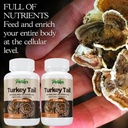 turkey-tail-mushroom-capsules---organic--2.jpg