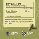 herbamama-boswellia-turmeric-and-mullein-5.jpg
