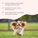bark-whiskers-krill-oil-liquid-pump---om-4.jpg