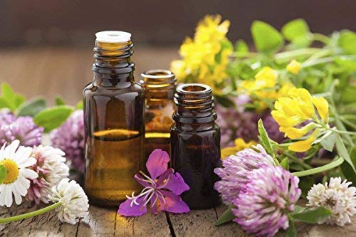 cedar-bear-intestinal-cleanse-a-liquid-h-5.jpg