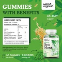 wild-organic-irish-sea-moss-gummies-1600-3.jpg