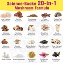 mushroom-powder-for-mushroom-coffee-20-i-5.jpg