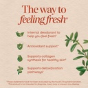 nature-s-way-chlorofresh-chlorophyll-con-3.jpg