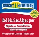red-marine-algae-500-gigartina-dumontace-4.jpg